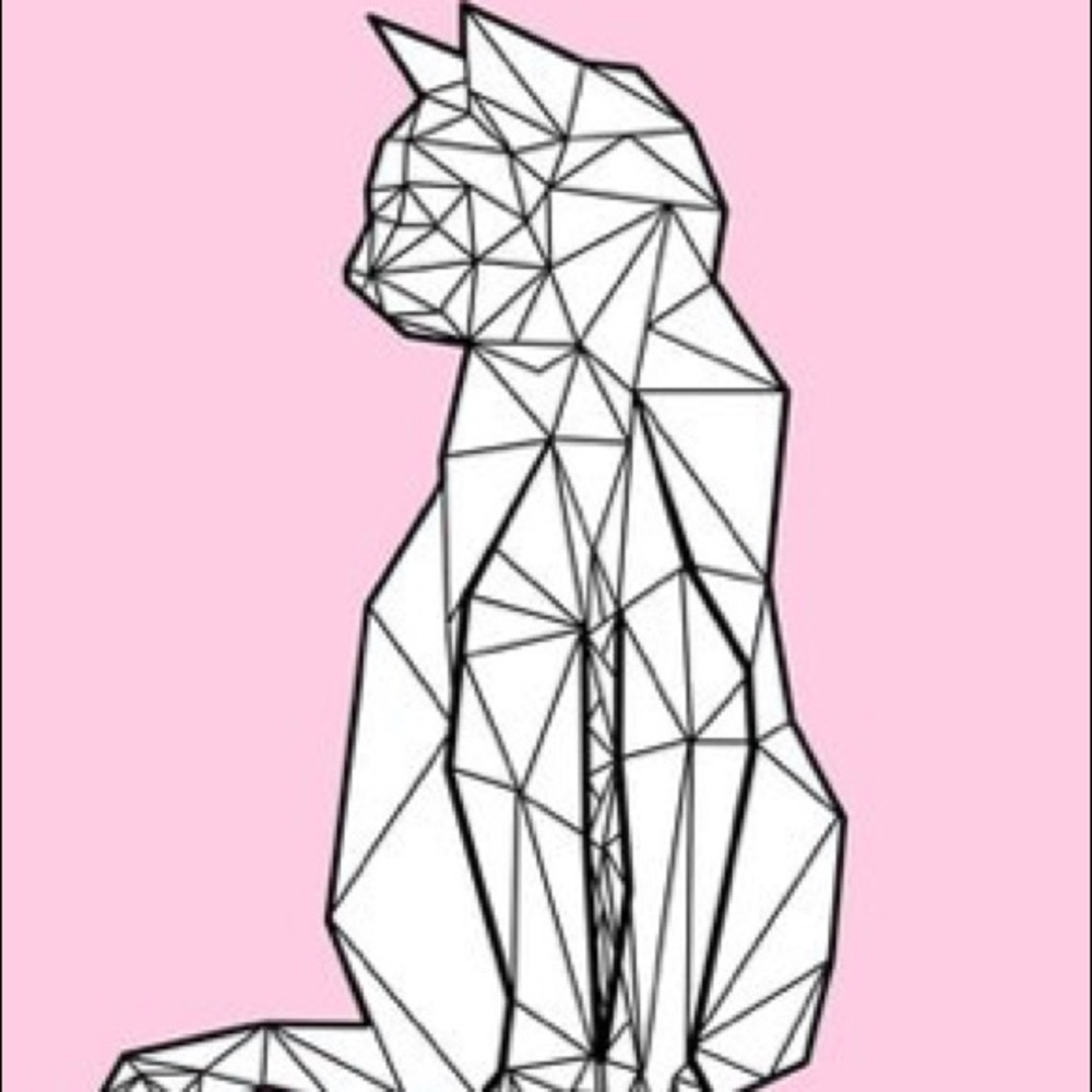 Meet your Posher, The Mad Kat